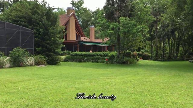 Красивый back yard с видом на озеро. Город Altamonte Springs.Флорида смотреть онлайн