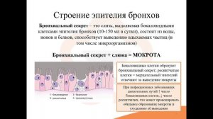 18.1. Лекарственные средства, применяемые при различных видах кашля