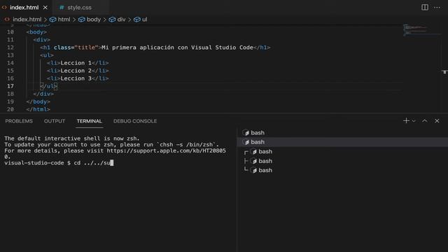 Como usar el terminal con Visual Studio Code - 2021 смотреть онлайн