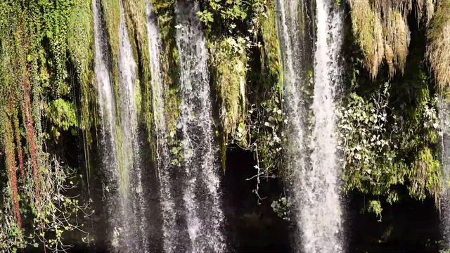 7 мая Евсевий и Елизавета Чудотворница. Обязательно сделайте это от маеты и депрессии. Приметы дня смотреть онлайн