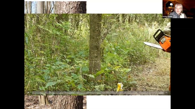 Managing Woodlots and Invasive Species смотреть онлайн