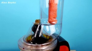 Что если выжать сок из Красной рыбы? Получится или нет? Бедная соковыжималка! alex boyko