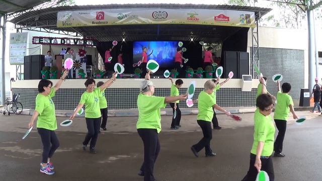 37ºFesta do Verde 2015-SAKURA-Rizumo Kenko Taisso смотреть онлайн