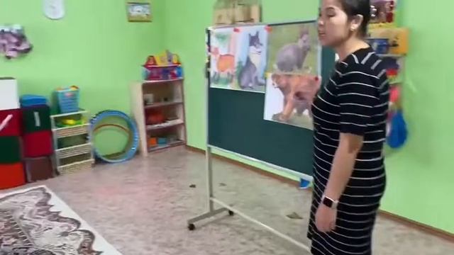 Группа Солнышко Дидактическая игра Дикие и домашние животные смотреть онлайн