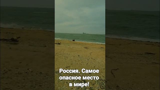 № 52 Яйцо динозавра. Азовское море. смотреть онлайн