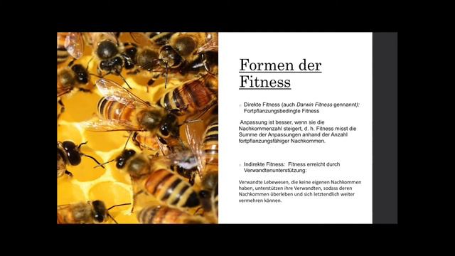 Biologie: Fitness(Anpassung) смотреть онлайн