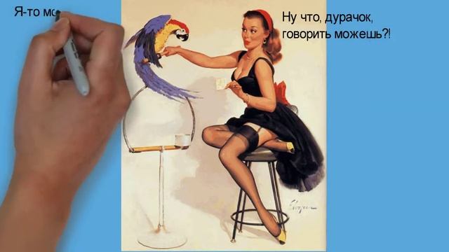 Анекдот от кота Миши про попугая смотреть онлайн