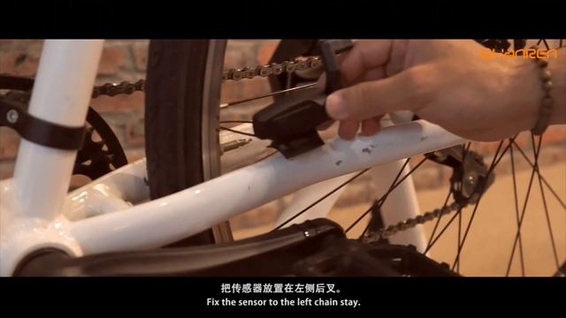 Raptor II Installation Guide