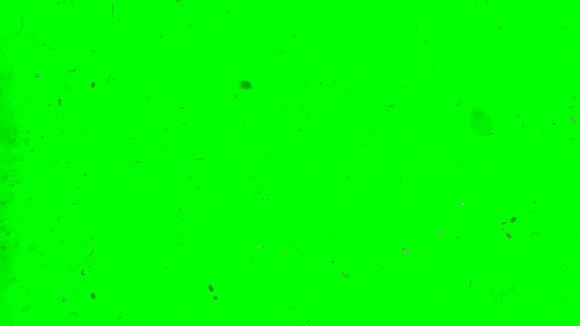 футаж пыль в воздухе, и др подвешенные частицы хромакей смотреть онлайн