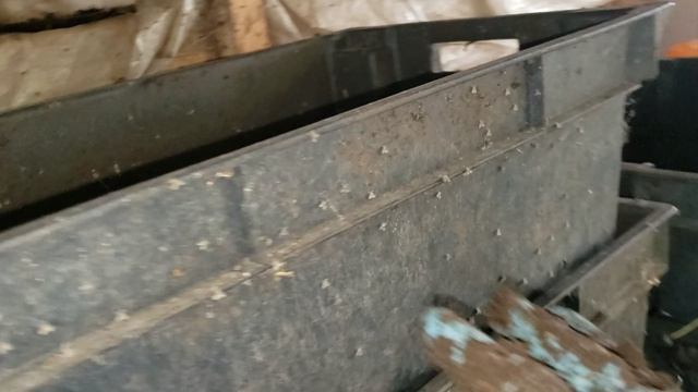 Червей для фасовки все меньше и меньше. смотреть онлайн