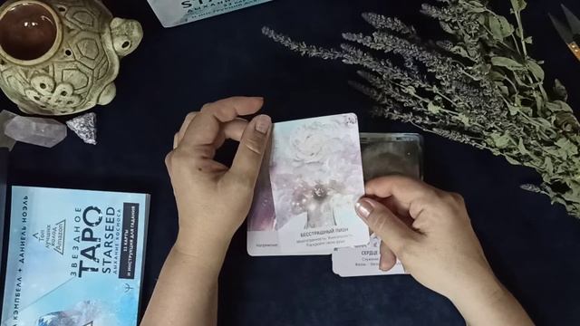Карты таро STARSEED Звёздное таро распаковка обзор и предупреждение! смотреть онлайн