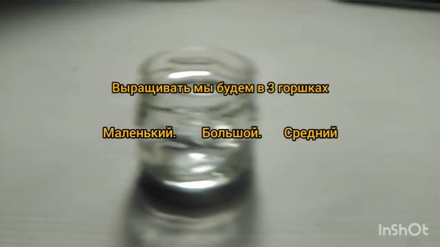 ЖИВЫЕ РАСТЕНИЯ ИЗ КУСОЧКА БУМАГИ? + Эксперемент С Разными Горшками🌱🍀 Часть1 смотреть онлайн