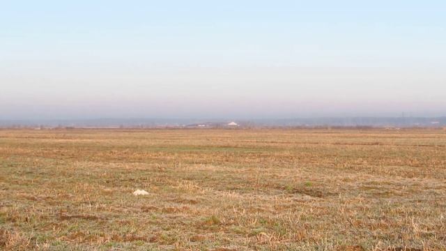 Утренняя Каменка. Как поют жаворонки. смотреть онлайн