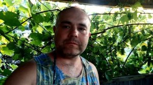 ОВОЩИ ГРИЛЬ НА МАНГАЛЕ. Как приготовить Вкусные овощи на гриле. Маринад для овощей на углях