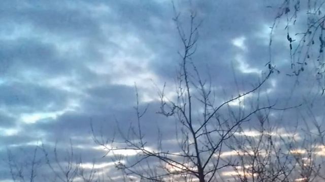 У монаха келия