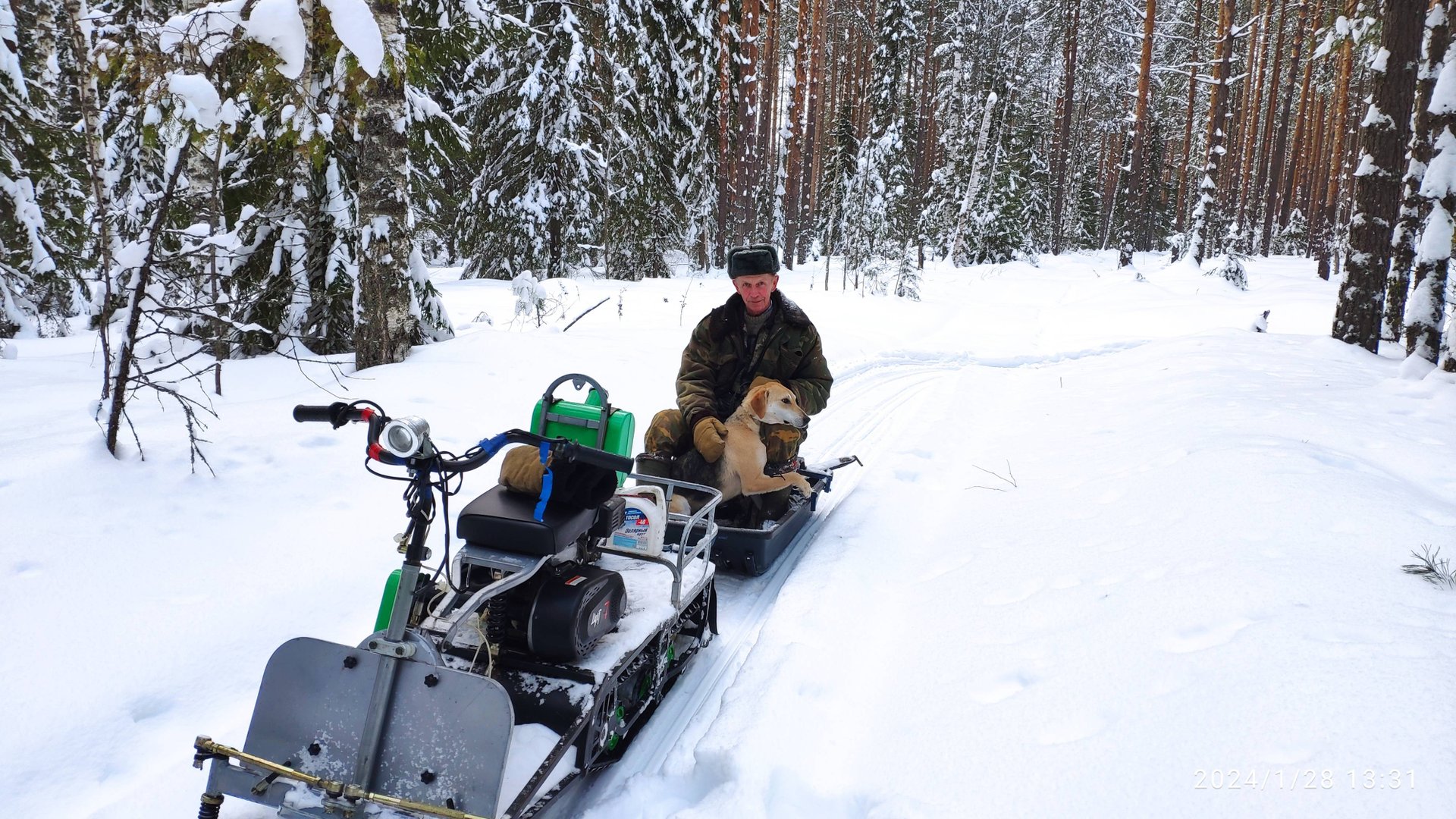 РГ Побудка (Стрелка) (1 год 10 месяцев) ВПКОС 7132/24. Охота на зайца беляка по глубокому снегу