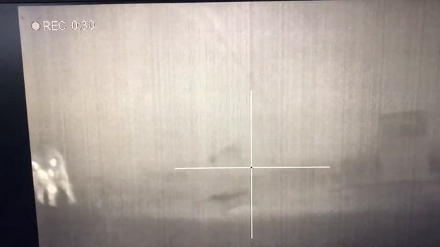 Охота на кабана с вышки смотреть онлайн