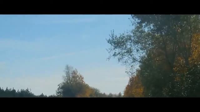 ...Водила брат... смотреть онлайн