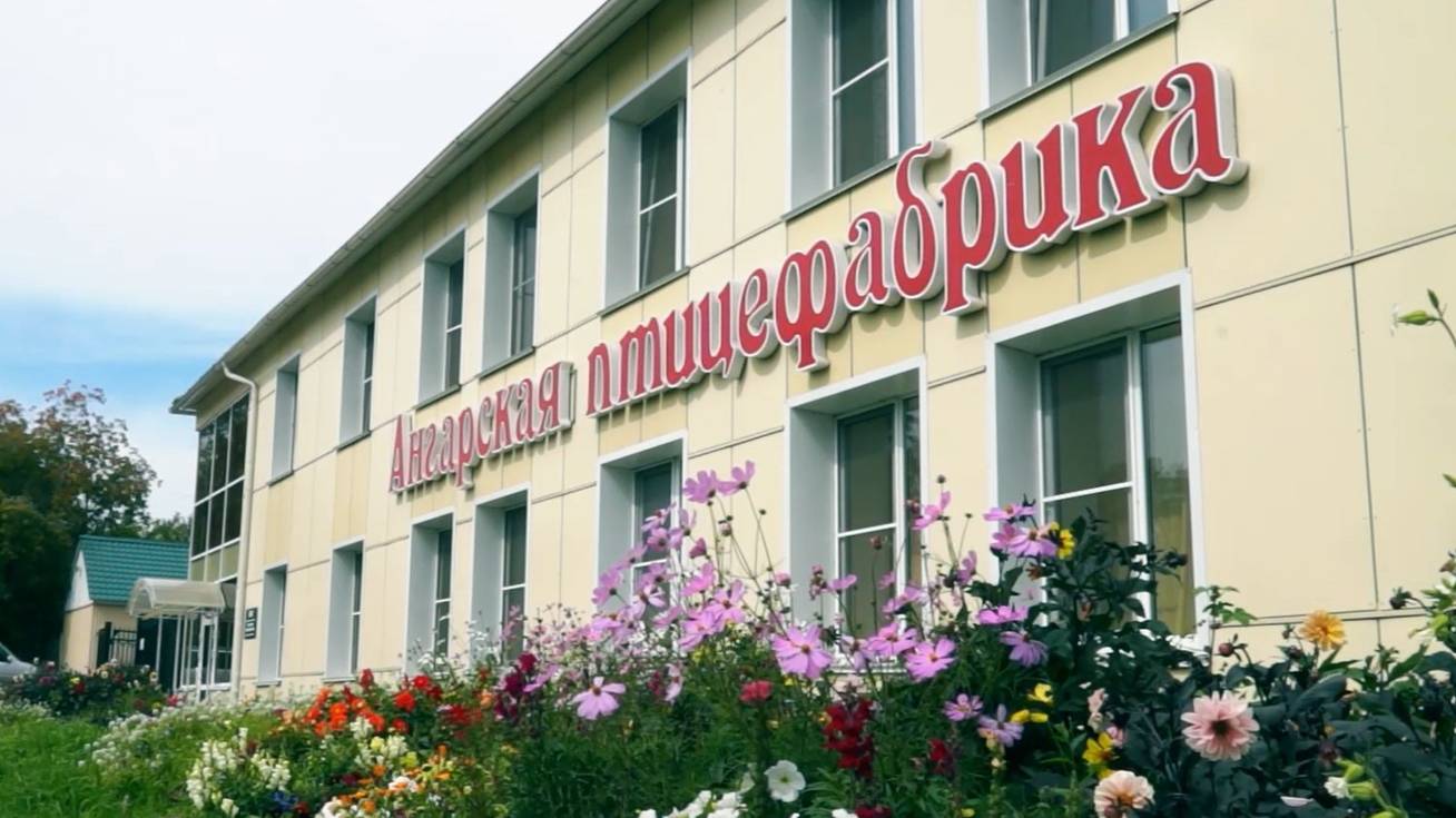 Ангарская птицефабрика