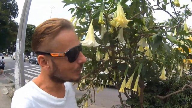 Санпауло, Бразилия Обзор основных достопримечательностей смотреть онлайн