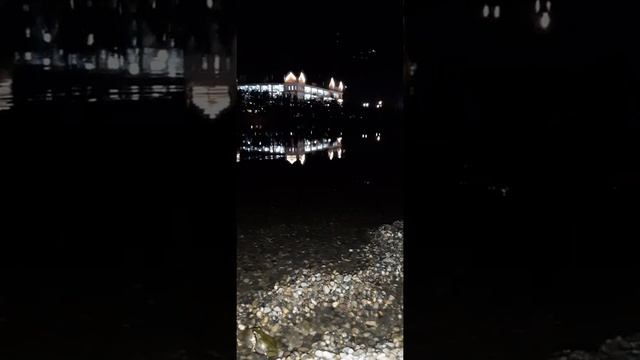 Поющие лягушки тёплой ночью на пруду.... смотреть онлайн