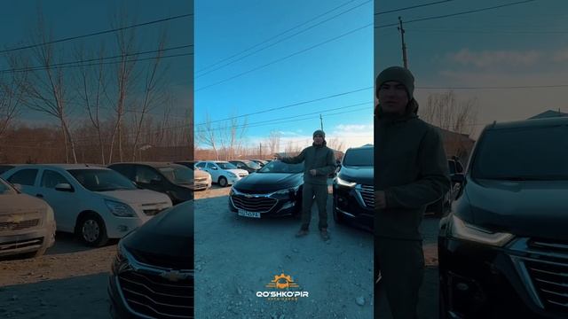 Travers sotildi malibu 2 bartera смотреть онлайн
