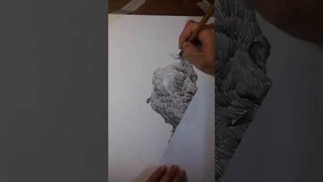 Illustrator Creates Realistic Line Portrait in Pencil