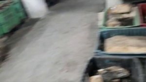 ПАН133 Биогумус технология производство вермизакваска. Промышленное разведение червей