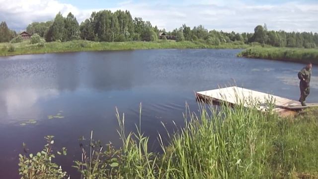 МТЗ-80 4х4 С МОСТОМ ГАЗ-66 Роторной косилкой КРН-2.1 Только палки летят. смотреть онлайн