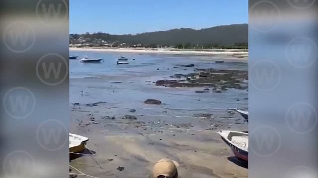 Terrifying Tsunami hit the World are caused by the Eruption of the Hunga Tonga Volcano смотреть онлайн
