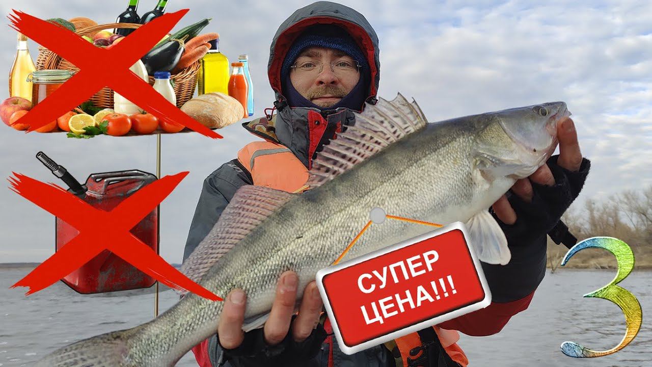 Да ладно?! Мы отбили рыбалку! Неприлично много судака. Встреча с Stalingrad Fishers. смотреть онлайн