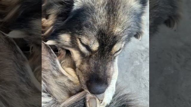 7 сентября 2023 г. смотреть онлайн