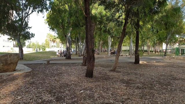 Хайфа. Район Кирьят Элиэзер /русский район в городе #3 смотреть онлайн