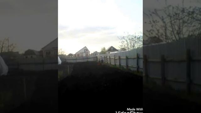 Посадка картошки 2017 смотреть онлайн