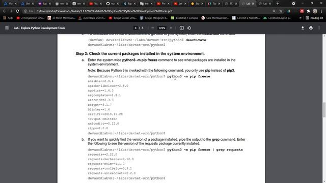 Devnet 3.1.12 - Explore Python Development Tools смотреть онлайн