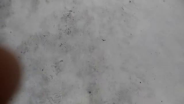 Shzuzhdbdheju47383hdhxhdejiw