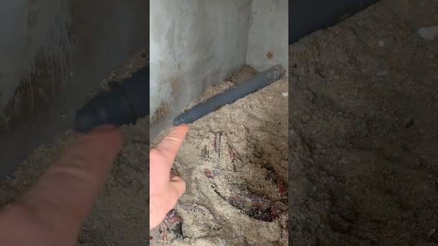 Обогрев собачей будки