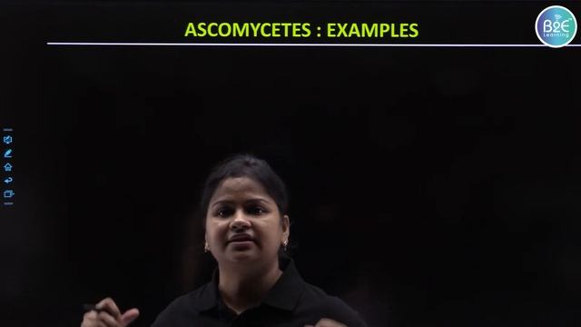 L6 : Biological Classification | Fungi PART-2 | Class 11 | NEET | B2E Learning | Pratibha Ma'am смотреть онлайн