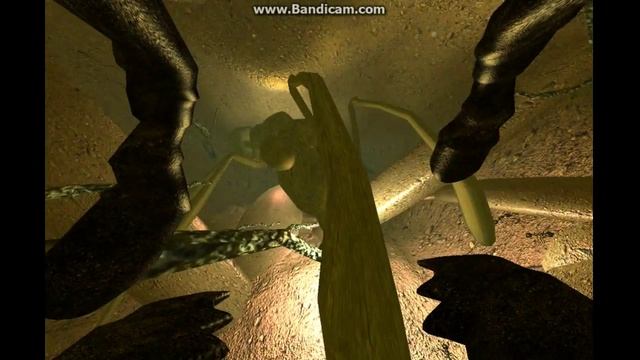 Симулятор муравья,почуствуй себя муравьём)))