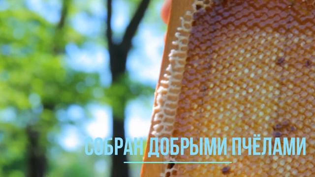 акация 2020 смотреть онлайн