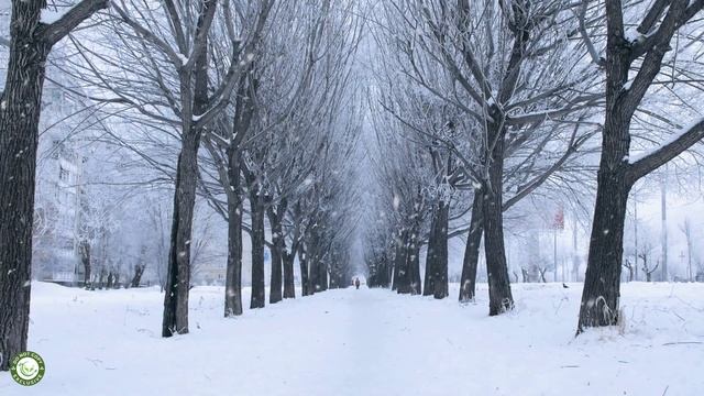 Музыка Природы! В этой нежной мелодии есть всё, чтобы просто расслабляющий музыкальный смотреть онлайн