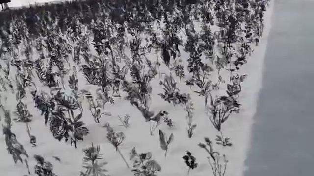 Выставка. поле Цветов. Невероятно смотреть онлайн