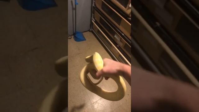 Albino Jungle Carpet #python #albino #nature #reptiles #snakes #nato #poland #russia #pets #exotic смотреть онлайн