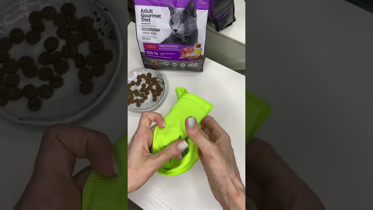 Кормушка для питомцев быстроежек своими руками #шортс #пробаланс смотреть онлайн