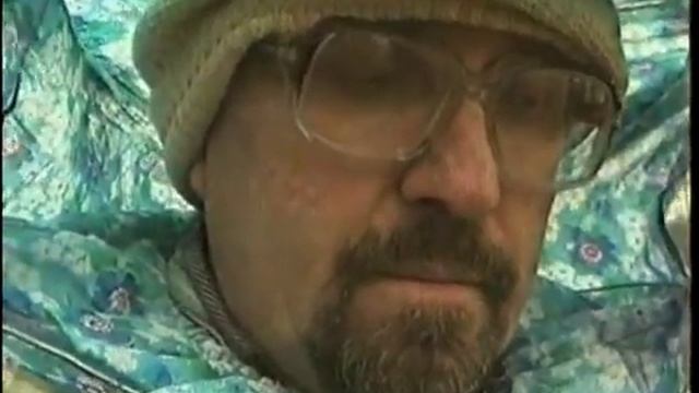 Если ужалила пчела. смотреть онлайн