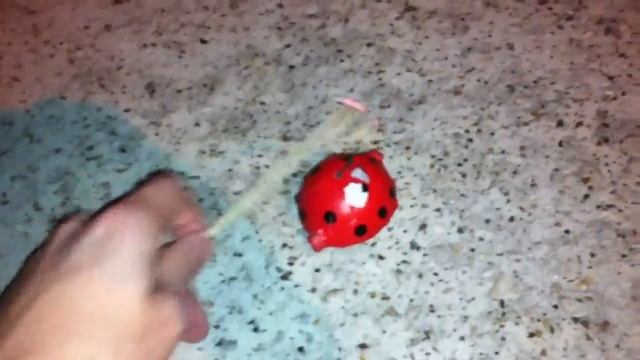 Lady Bug Spinning Aerial Firework Demonstration by Reaganzi смотреть онлайн