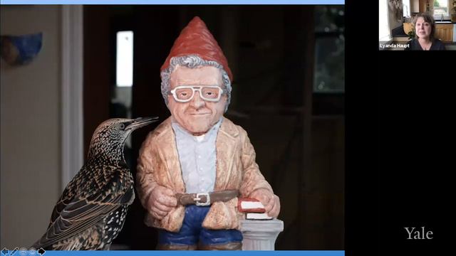 Mozart’s Starling:  A Story of Art, Language, and the Human Relationship with the Natural World смотреть онлайн