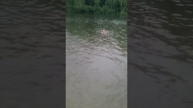 Пляж. Кривой Рог. Парк правды