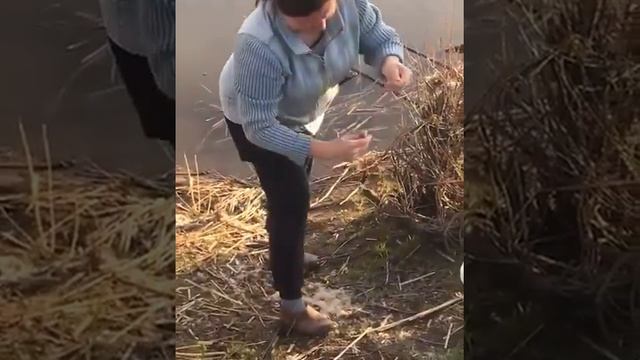 5.05.20г. Рыбалка на Карамалке. Клевое местечко. Камское устье. смотреть онлайн