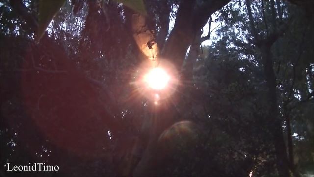 Какую одежду брать летом на Атлантический океан в АРГЕНТИНЕ смотреть онлайн